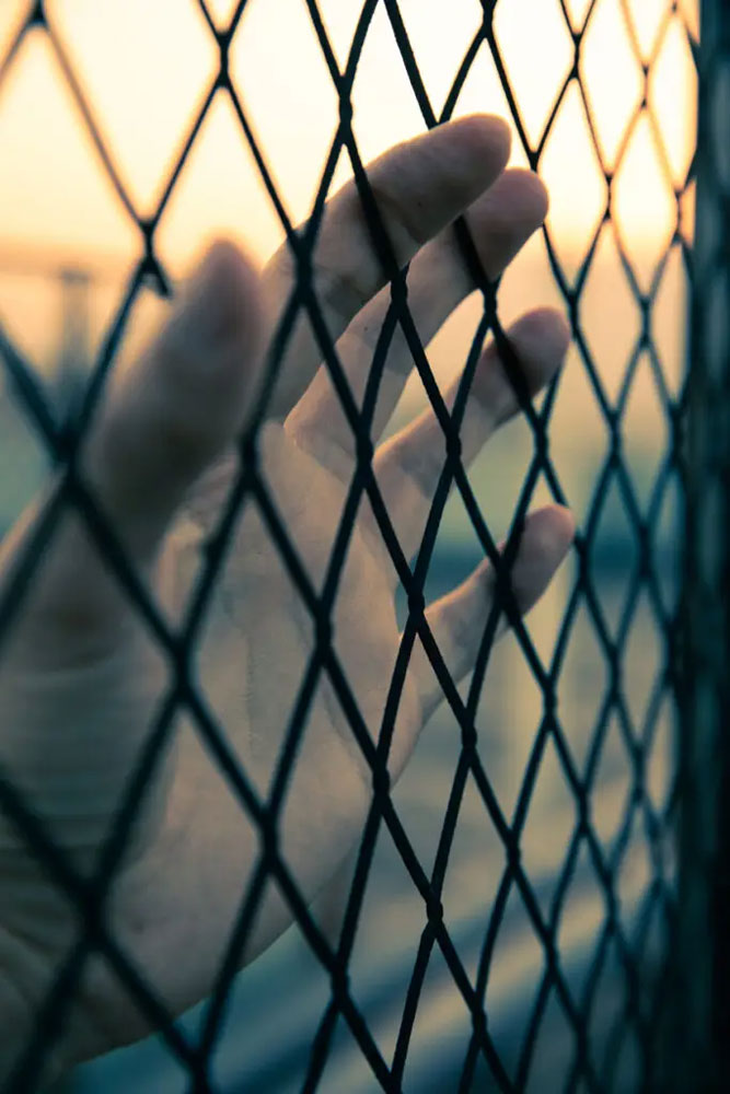 Hand On Metal Link Fence